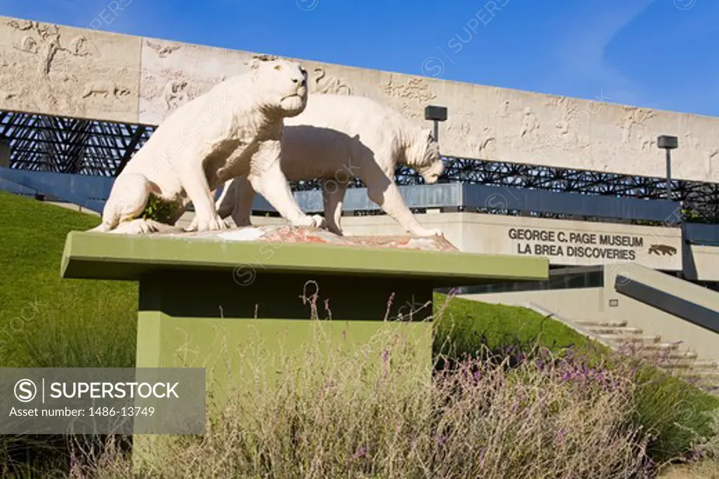 Statues of Saber-toothed cats in front of a museum, George C. Page Museum, Wilshire Boulevard, Los Angeles, California, USA