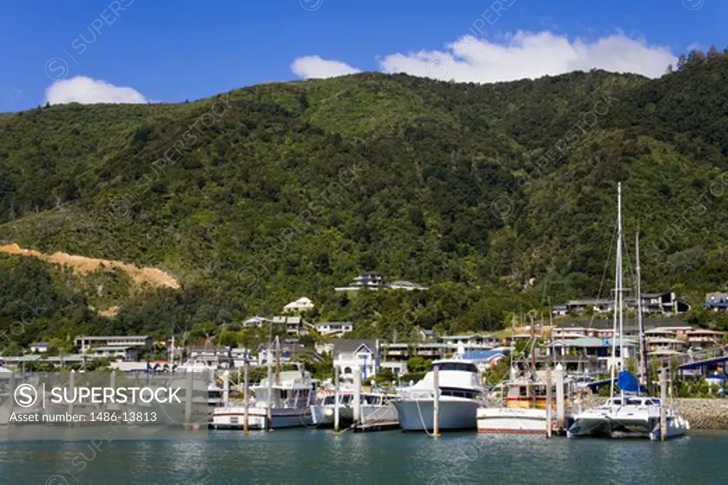 Boats at a harbor, Picton, Marlborough Region, South Island, New Zealand
