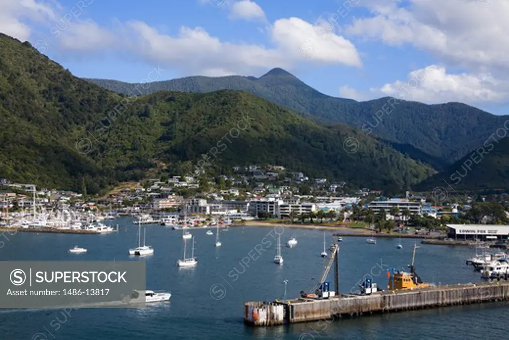 High angle view of boats at a harbor, Picton, Marlborough, South Island, New Zealand