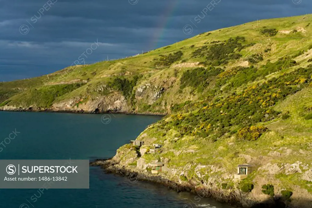 Headland on the coast, Taiaroa Head, Dunedin, Otago Peninsula, South Island, New Zealand