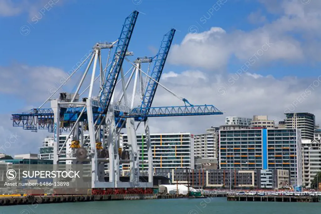 Cranes at a harbor, Bledsloe Wharf, Auckland, North Island, New Zealand