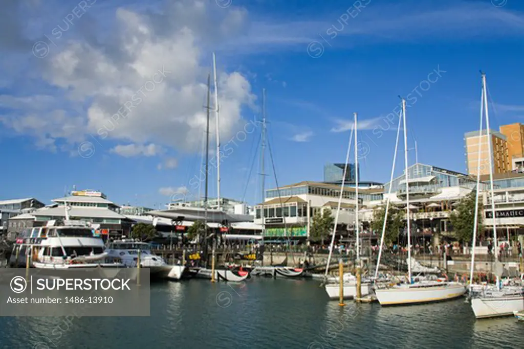 Boats at a harbor, Viaduct Harbour, Auckland, North Island, New Zealand