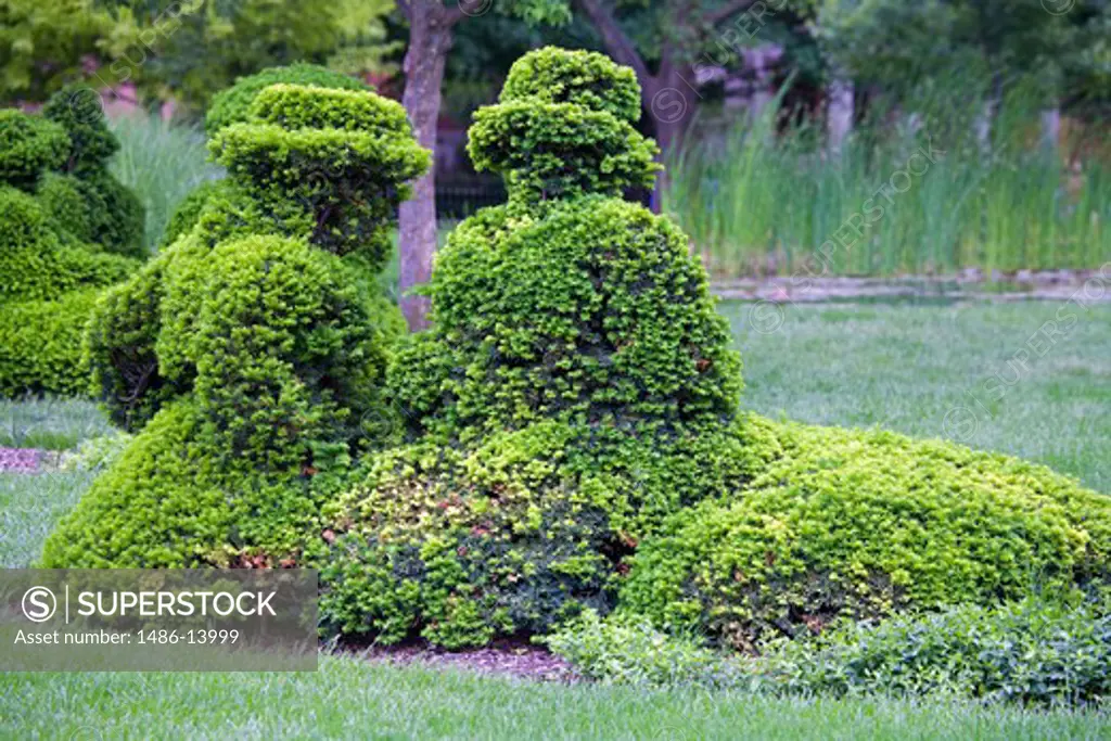 Topiary in a garden, Deaf School Park, Columbus, Ohio, USA