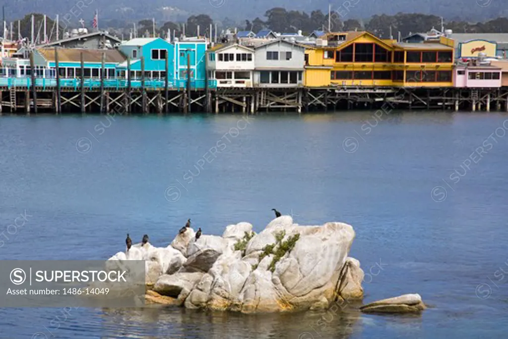 USA, California, Monterey, Breakwater cove and Fisherman's Wharf