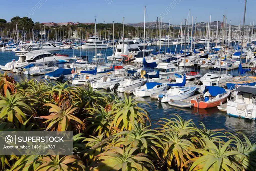 USA, California, Orange County, Dana Point Harbor, Yachts moored in marina