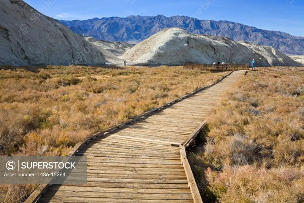 Salt Creek boardwalk, Death Valley National Park, California, USA, North America