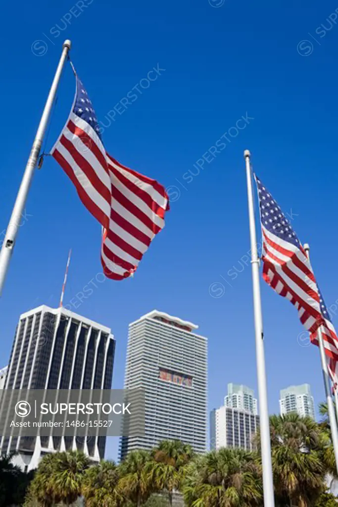 American flags in Bayfront Park, Miami, Florida, USA