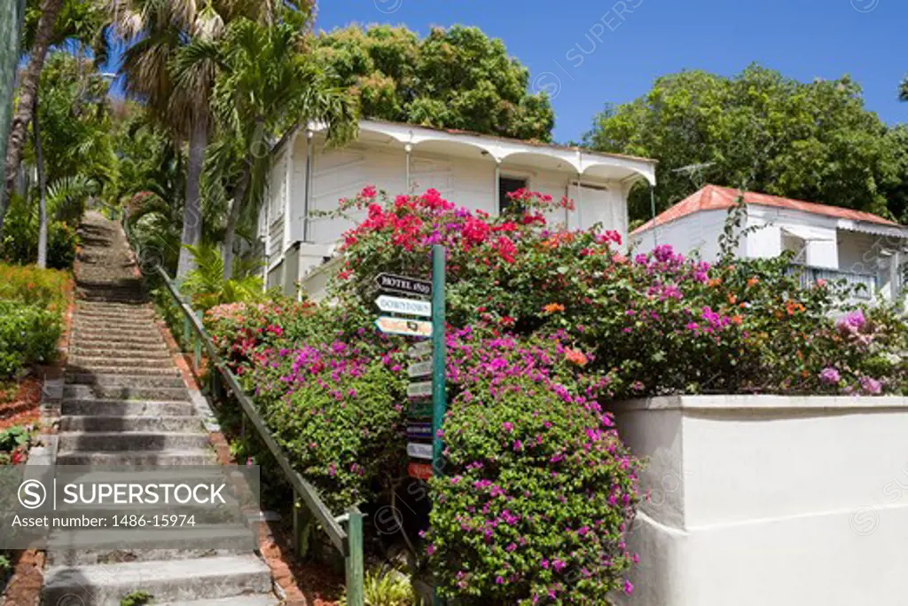 Caribbean, United States Virgin Islands, St. Thomas Island, Charlotte Amalie City, 99 Steps in Kongens Quarter