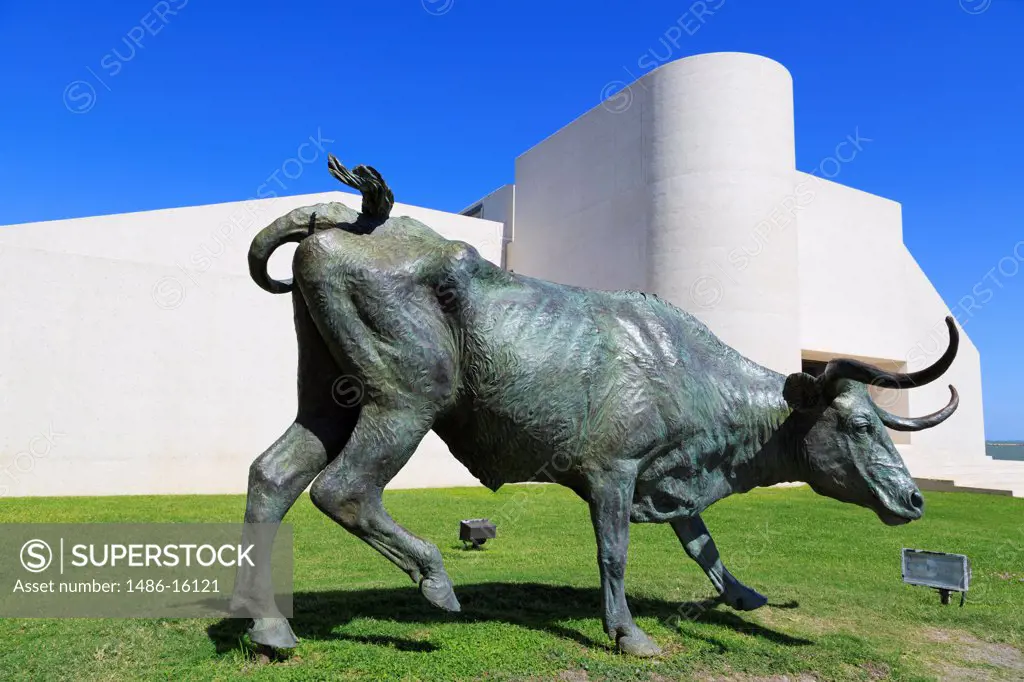 Statue of bull outside a museum, Art Museum of South Texas, Corpus Christi, Texas, USA