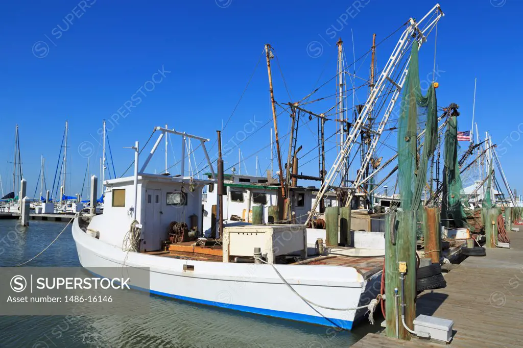 Shrimp boats at a harbor, Corpus Christi, Texas, USA