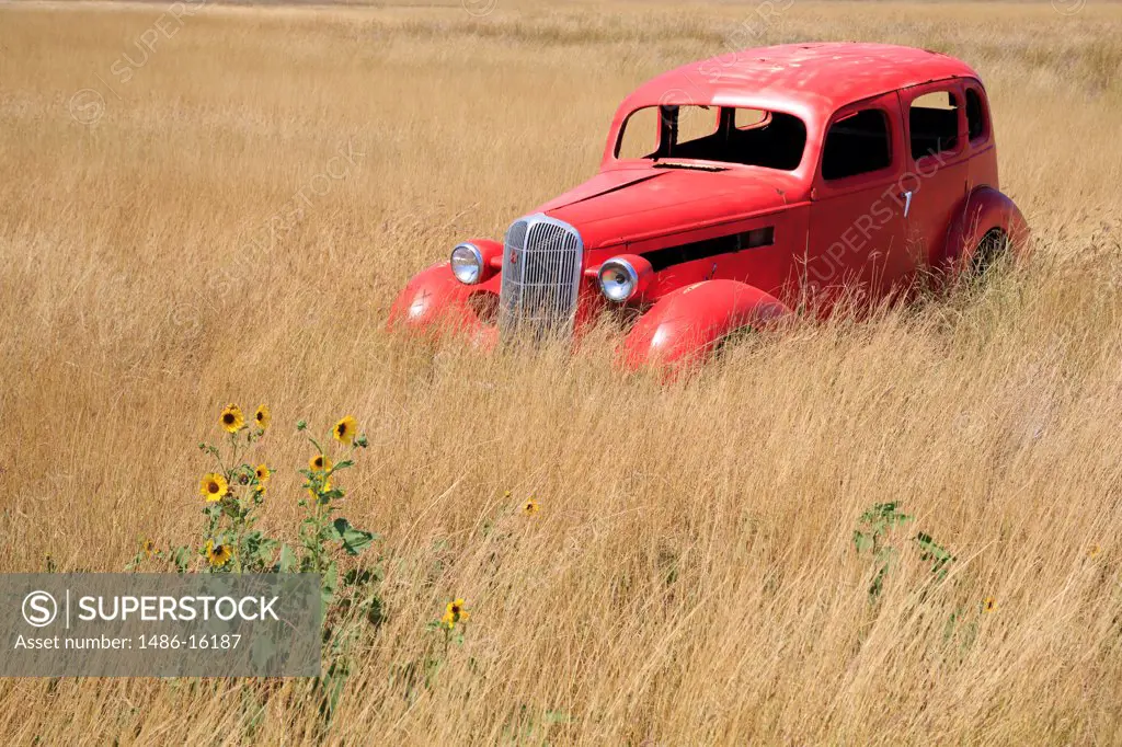 Abandoned car in field, Corpus Christi, Texas, USA
