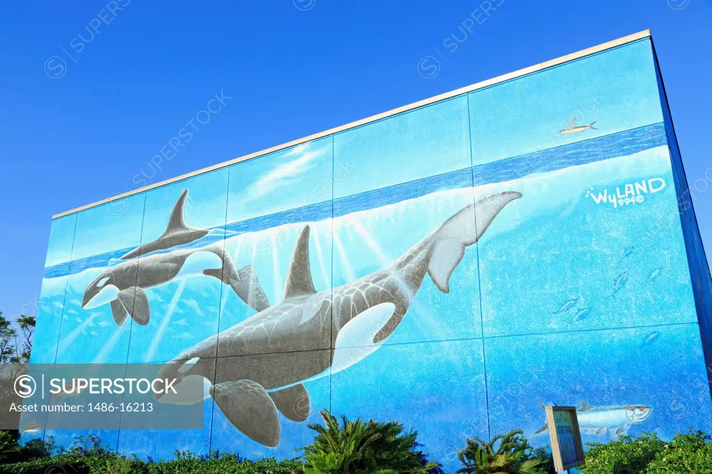 Mural on the wall of a Convention center, South Padre Island, Texas, USA