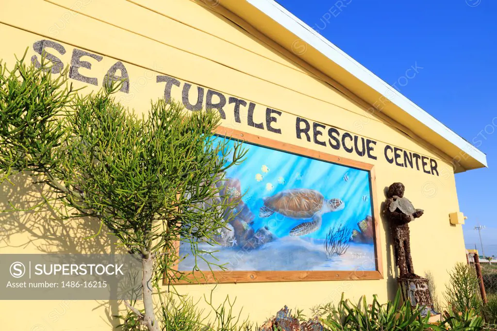 Sea Turtle Rescue Center, South Padre Island, Texas, USA