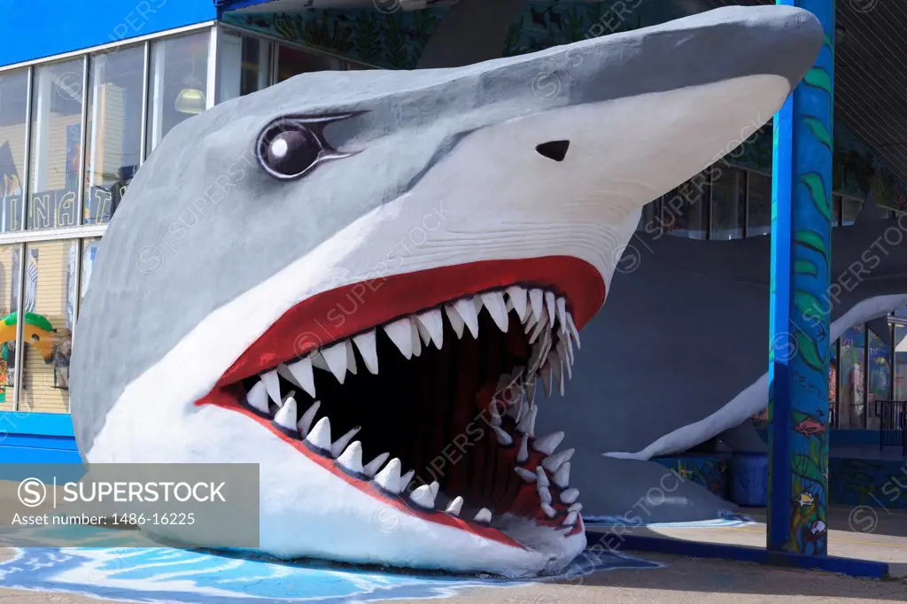 Sculpture of a shark outside a souvenir store, Port Aransas, Corpus Christi, Texas, USA