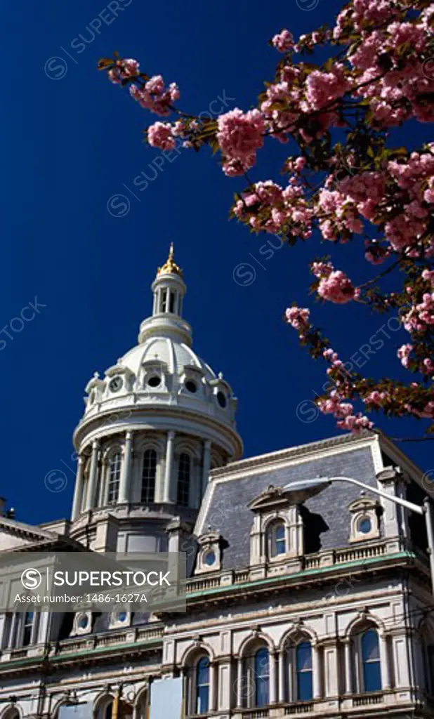 USA, Maryland, Baltimore, City Hall exterior