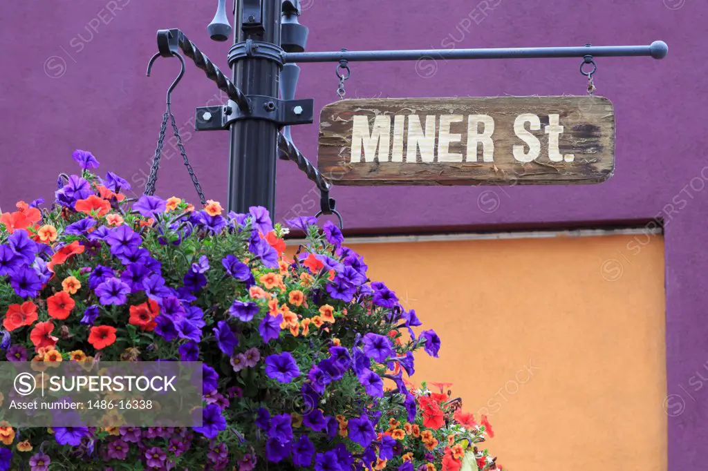 USA, Colorado, Idaho Springs, Flower basket on Miner Street