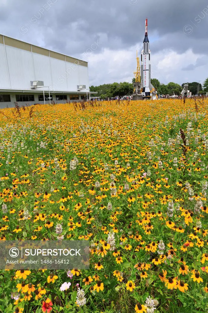 USA, Texas, Houston, Wildflowers in Rocket Park, Space Center