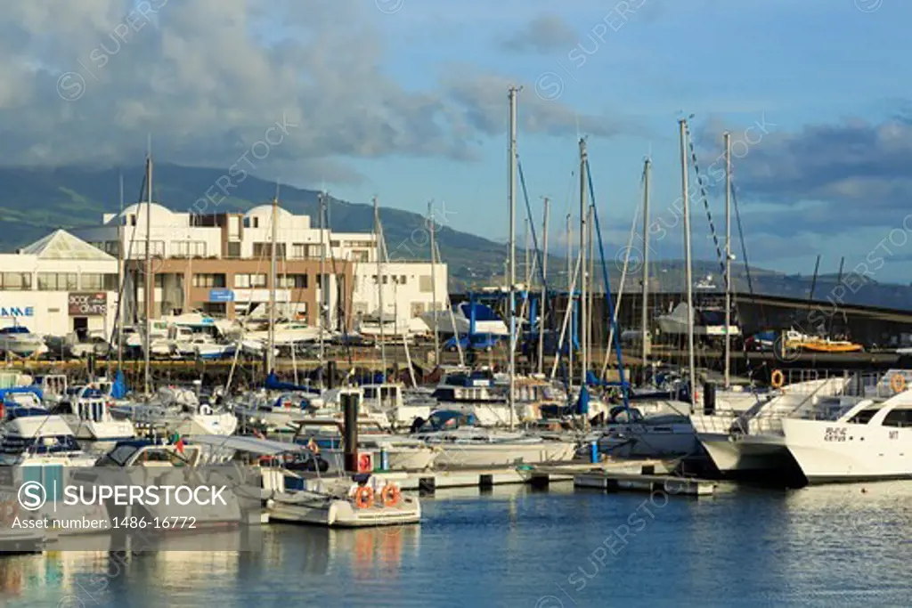 Yacht marina with city in the background, Ponta Delgada, Sao Miguel, Azores, Portugal