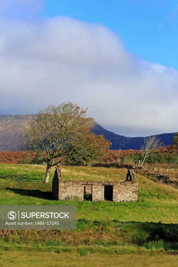 Ireland, Connaught, County Mayo, Mulranny, Cottage ruins