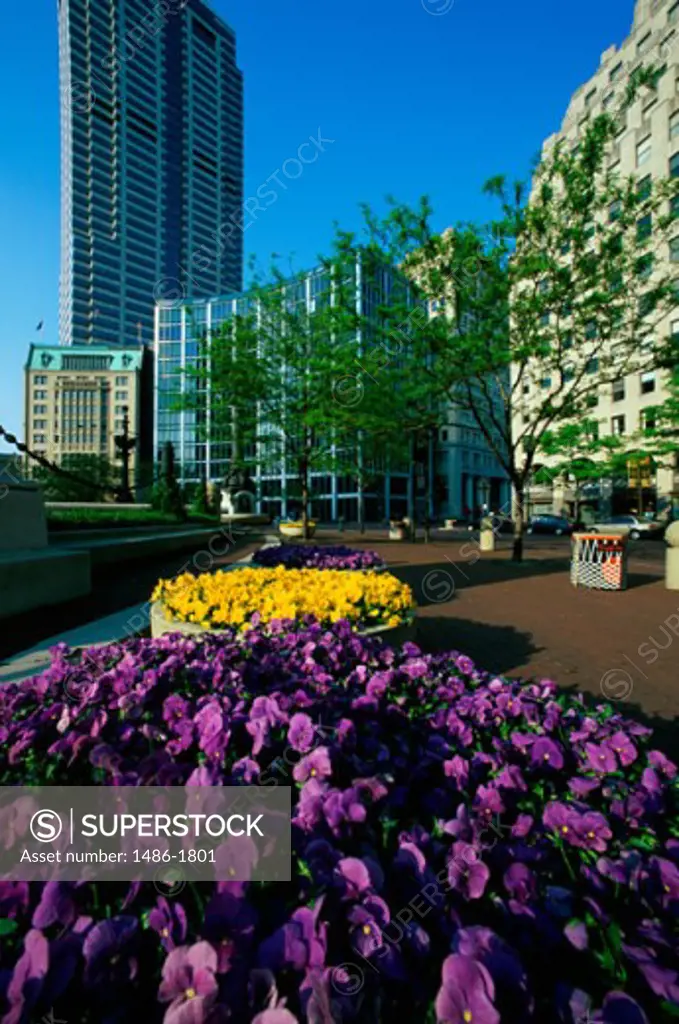 Flowers, Columbus Circle, Indianapolis, Indiana, USA