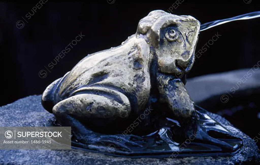 Canada, British Columbia, Victoria, Butchart Gardens, sculpture representing frog, fountain