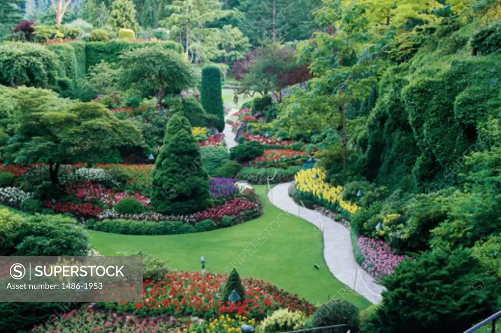 High angle view of plants in a formal garden, Butchart Gardens, Victoria, British Columbia, Canada