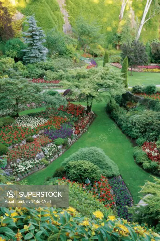 High angle view of flowers in a formal garden, Butchart Gardens, Victoria, British Columbia, Canada