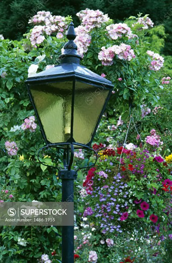 Canada, British Columbia, Victoria, Butchart Gardens, street light with flowering flowers