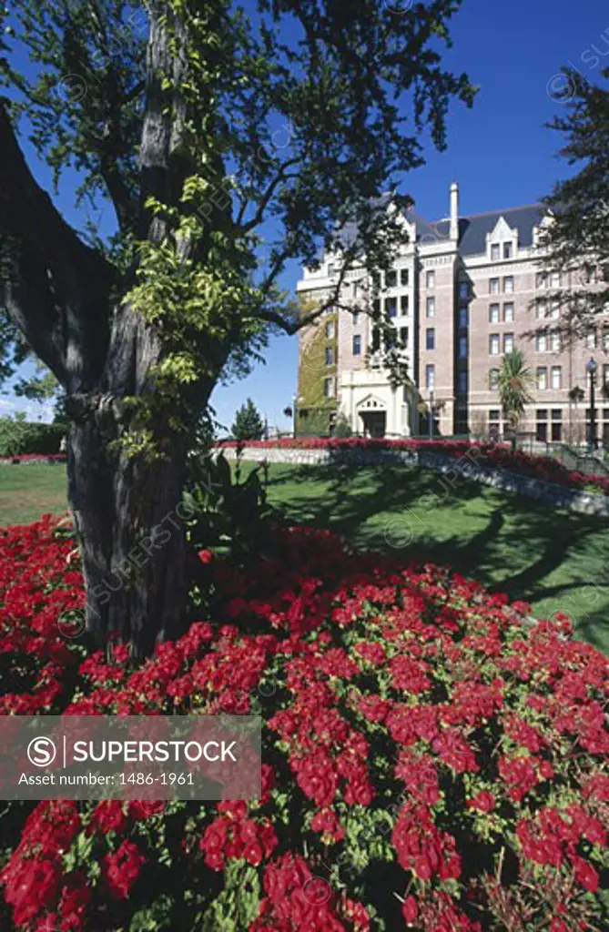 Canada, British Columbia, Victoria, Empress Hotel, hotel's facade, flowering flowers on the foreground
