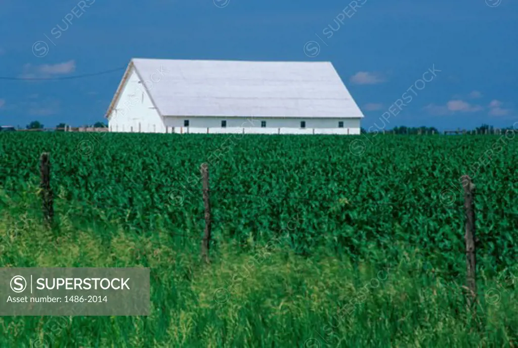 Barn in a field, Winterset, Iowa, USA