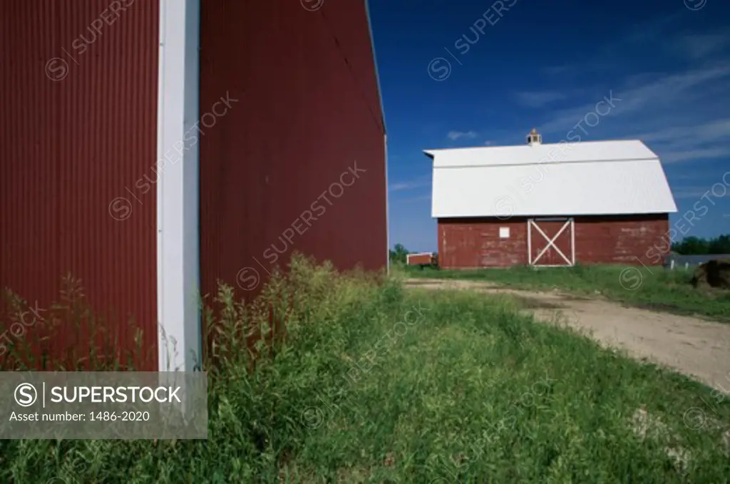 Barn in a field, Iowa, USA