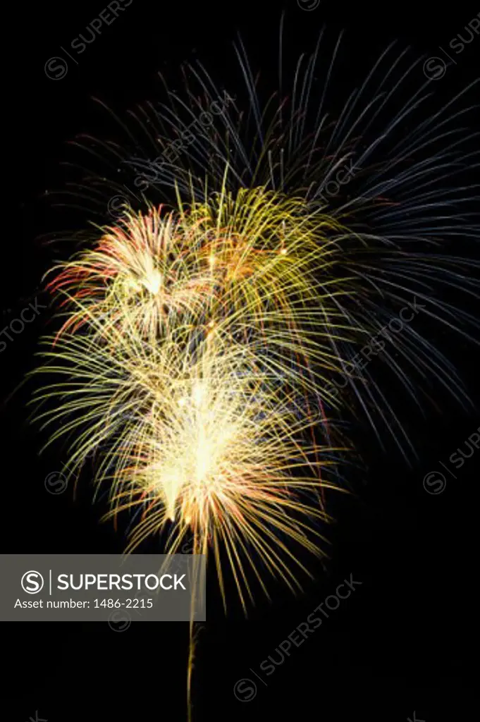 Low angle view of fireworks at night