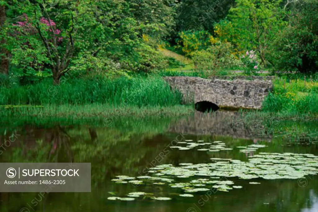 Bridge across a pond, Birr, Ireland
