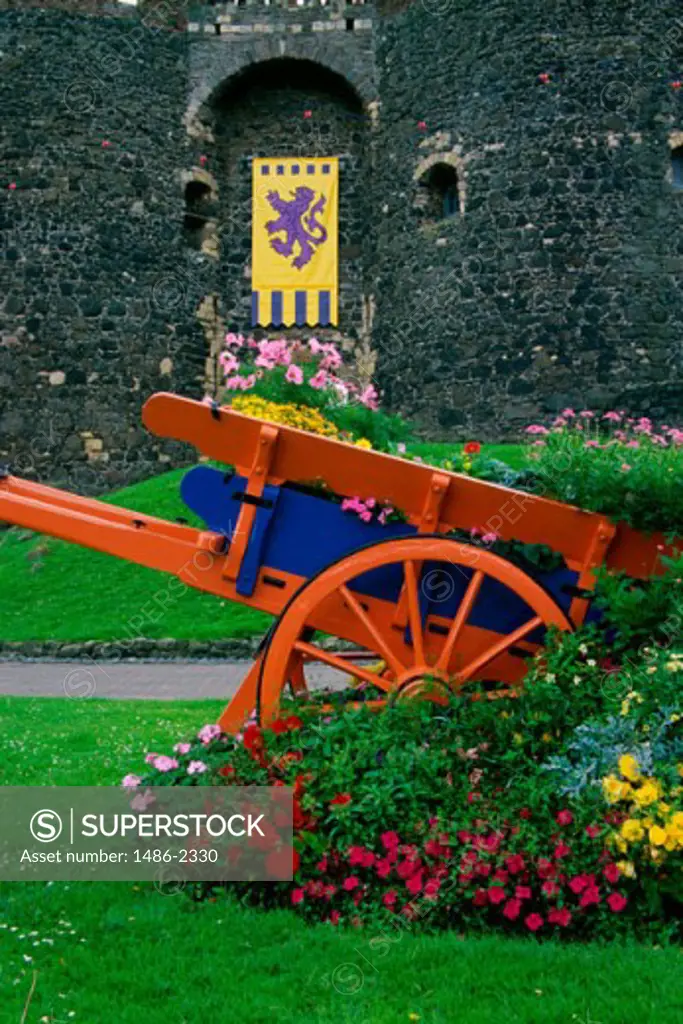 Cart in front of a castle, Carrickfergus, County Antrim, Northern Ireland