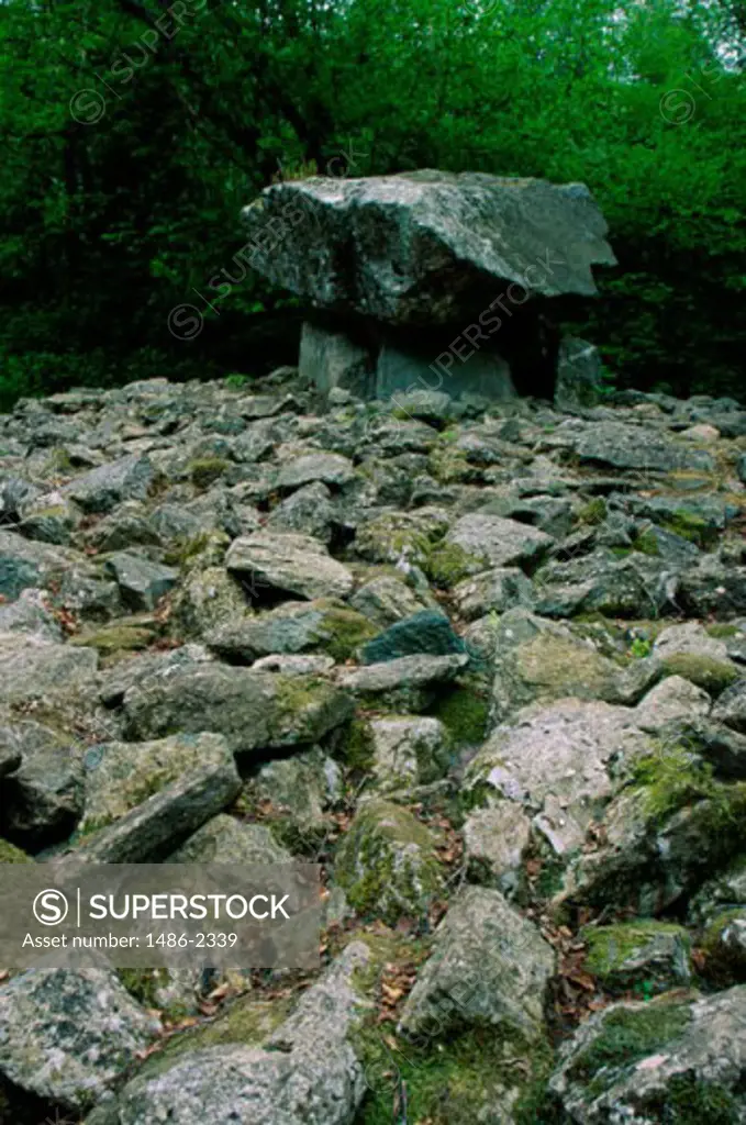Rocks in a forest, Portal Dolmen, Irish National Heritage Park, County Wexford, Ireland