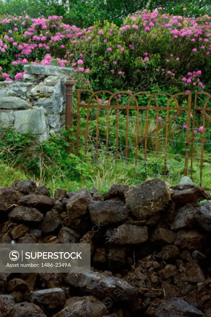 Heap of stones in front of a fence, Achill Island, County Mayo, Ireland