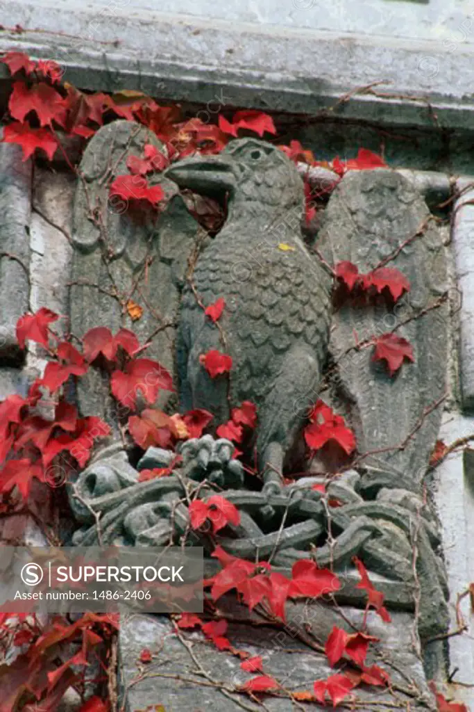Stone carved statue of a bird, Adare, Ireland