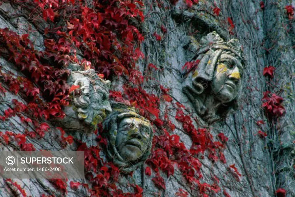 Stone carved statues of faces on a wall, Adare, Ireland