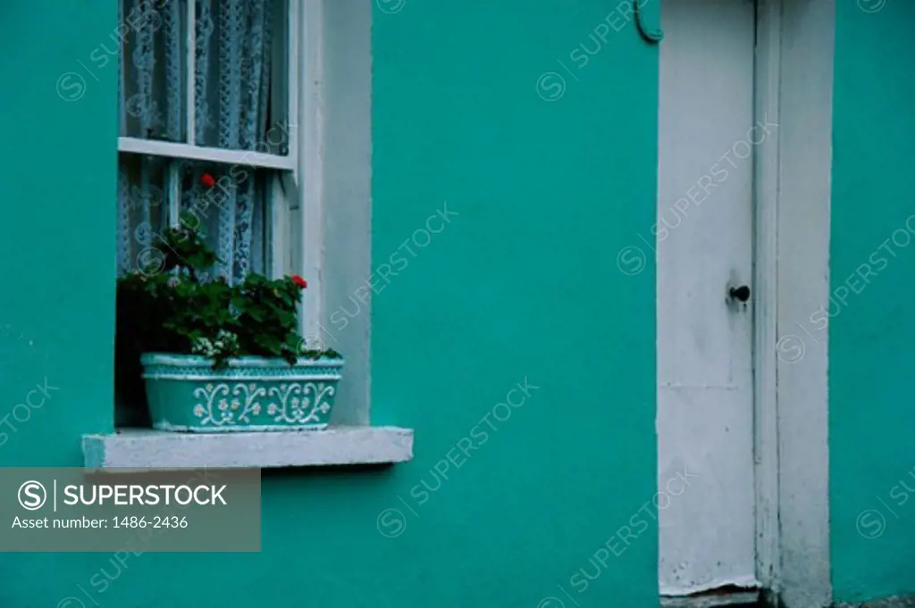 Window on a wall, Eyeries, Ireland