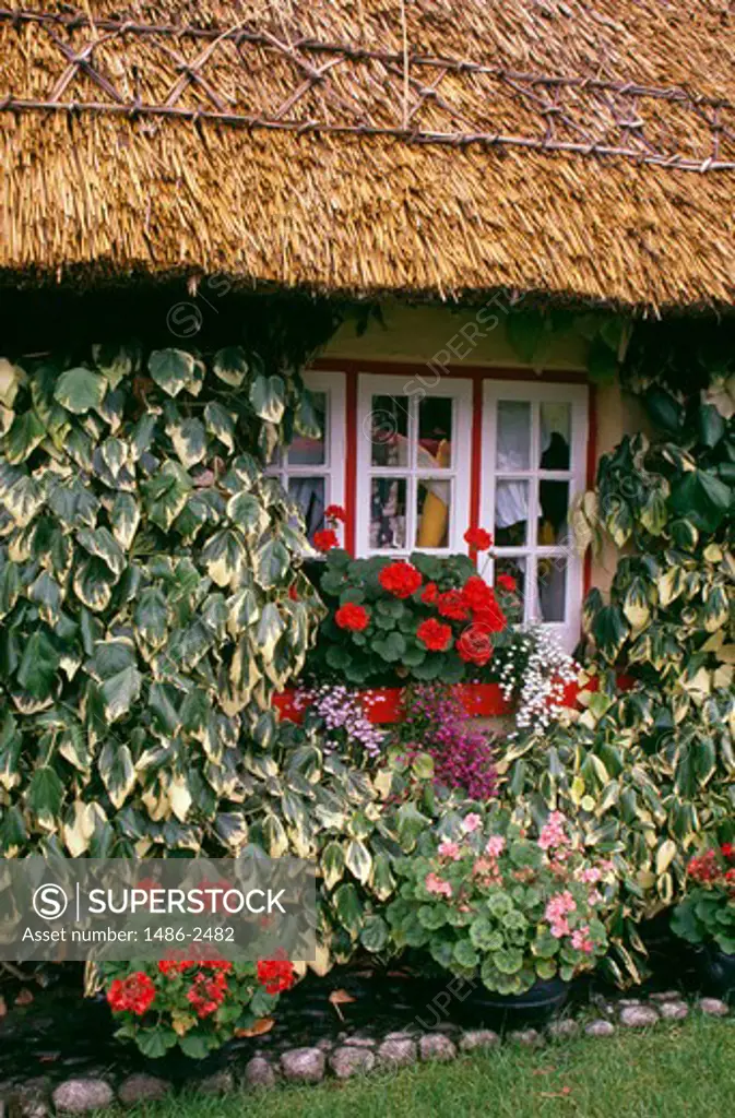 House with a thatched roof, Adare, County Limerick, Ireland