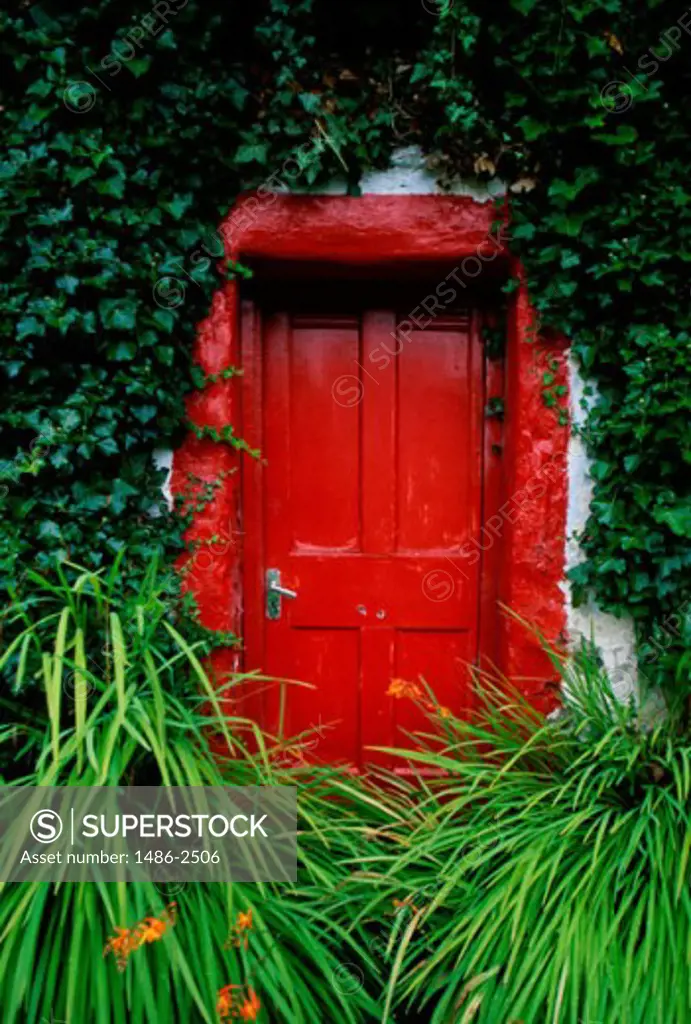 Front door of a house, Ireland