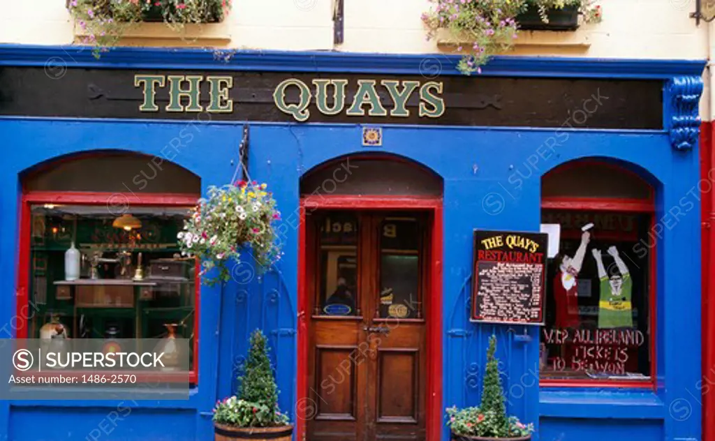 Potted plants in front of a restaurant, Galway, County Galway, Ireland