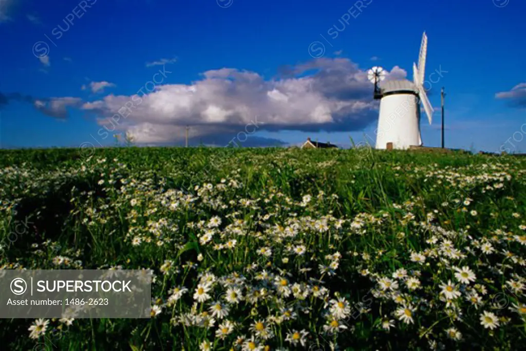 Ballycopeland Windmill, Millisle, Northern Ireland
