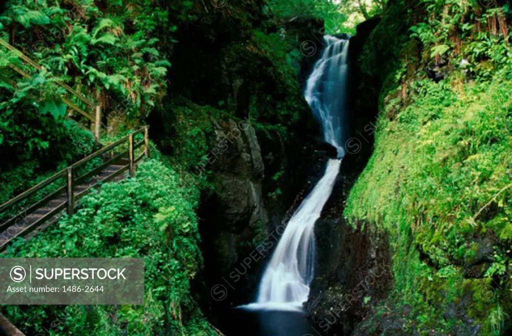 Waterfall in a forest, Ess-na-Larach Waterfall, Glenariff Forest Park, County Antrim, Northern Ireland