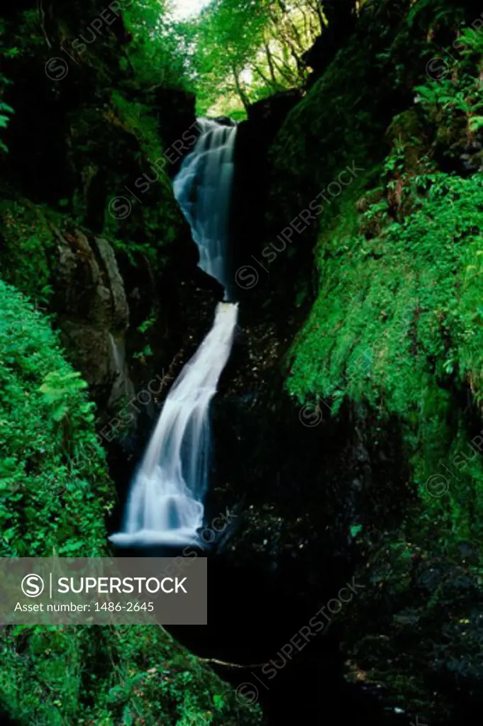 Waterfall in a forest, Ess-na-Larach Waterfall, Glenariff Forest Park, County Antrim, Northern Ireland