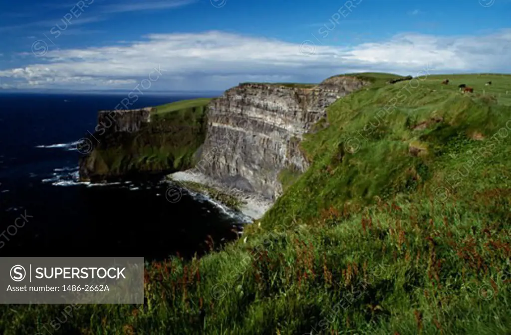High angle view of a coastline, Cliffs of Moher, County Clare, Ireland