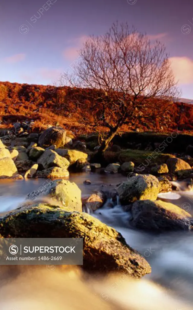 Rocks in a river, River Nire, County Waterford, Ireland