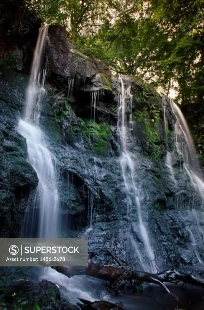 Low angle view of a waterfall, Glenariff Forest Park, County Antrim, Northern Ireland