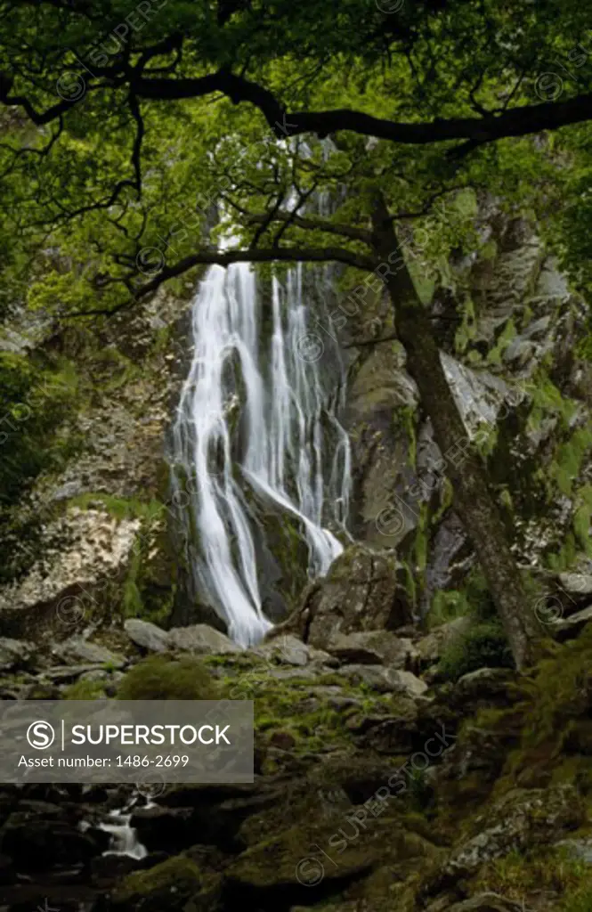 Waterfall in a forest, Powerscourt Falls, County Wicklow, Ireland