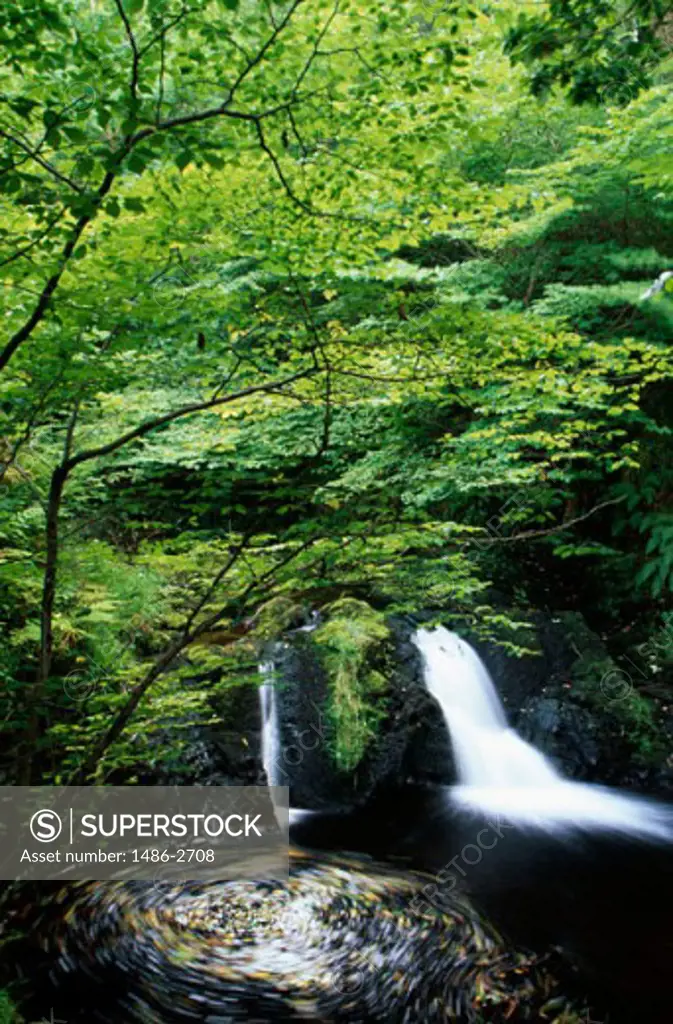 High angle view of a waterfall, Glenariff Forest Park, County Antrim, Northern Ireland